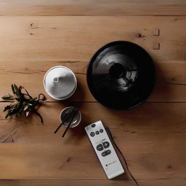 Maxi Pro 个人交流器